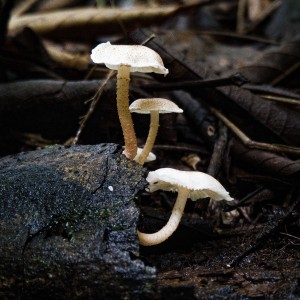 LRM_20211103_091148 (1)